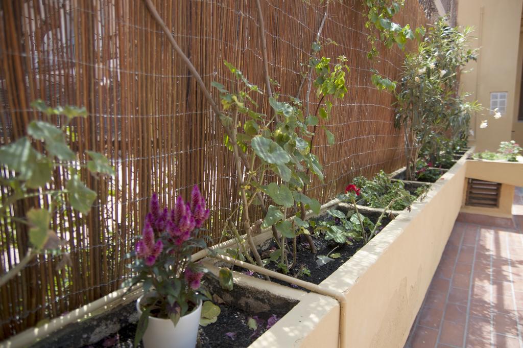 Bcn Home Guest House Barcelona Exterior foto